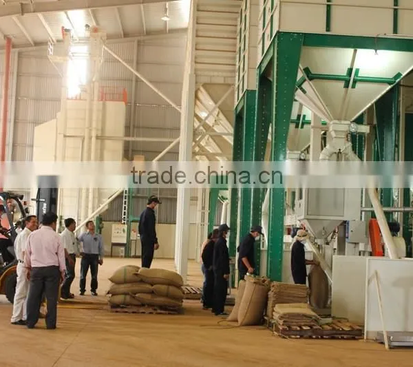 Robusta Coffee photo-3