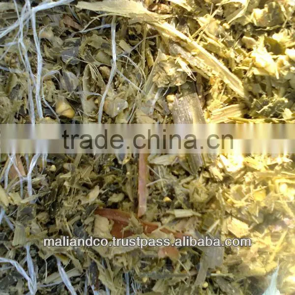 Corn Silage photo-3