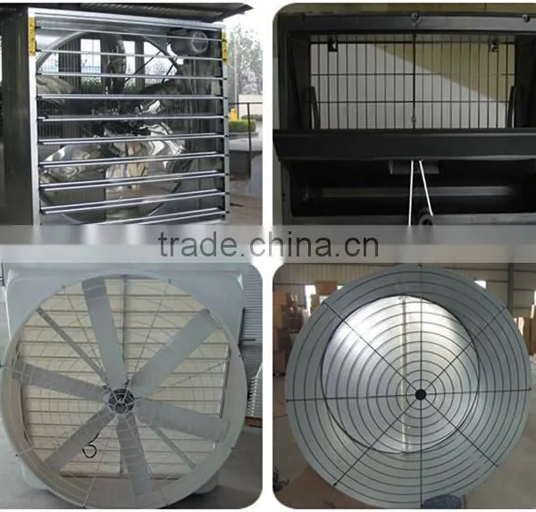 Whole Broiler Chicken Farm Poultry Equipment for Sale photo-4