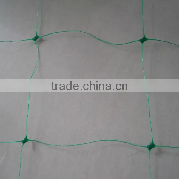 Plant Support Netting for Climbing Varieties photo-4