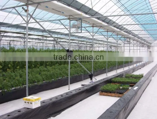 Korean Greenhouse photo-4