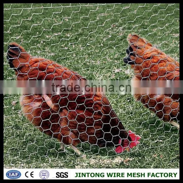 Anping Hexagonal Mesh Chicken Wire Mesh Kenya Chicken Wire Mesh Philippines photo-6