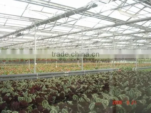 Greenhouse From Beijing in China