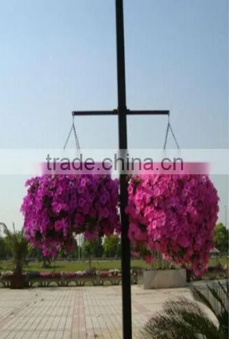 SOL 2015 Environment-friendly Hydroponics Plastic Flower Basket Hanging Flower Pots photo-4
