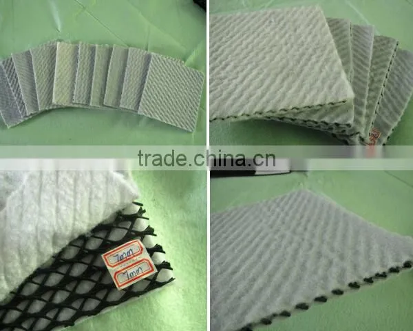 Composite Drainage Network/composite Geonet With Competitive Price photo-3