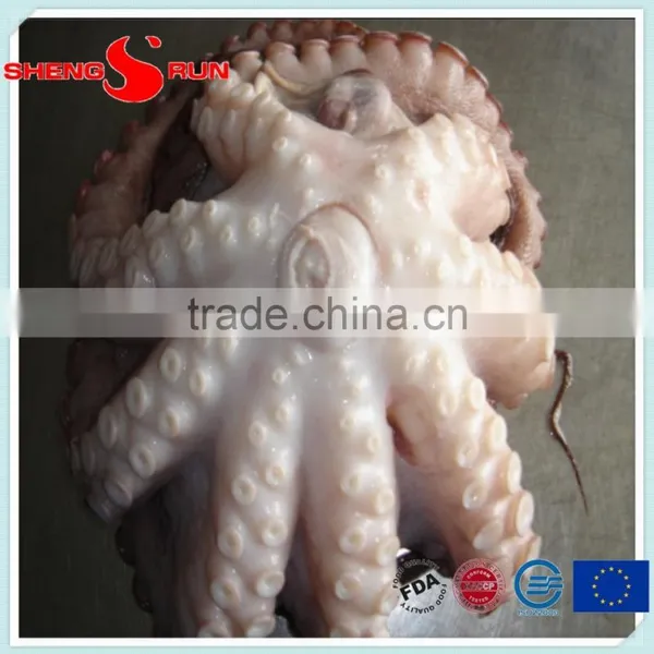 Frozen Flowered Baby Octopus photo-2