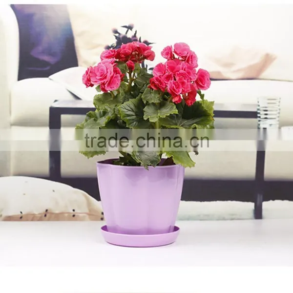 Creative Plastic Flower Pot Wholesale photo-3