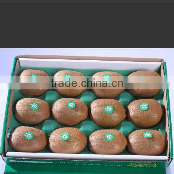 Environmentally Friendly Packaging Plastic Divided Food Tray photo-5