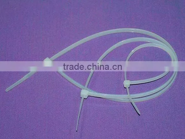 Nylon Cable Tie