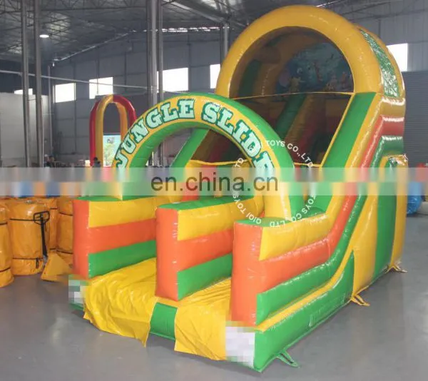 Hot Sale Commercial Giant Inflatable Water Slide for Adult on Sale photo-4