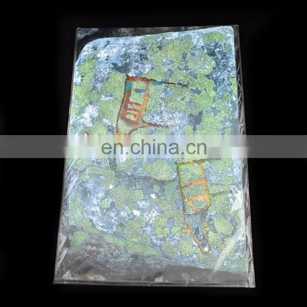 OEM Order Plastic Hot Food Dining Table Mat photo-4