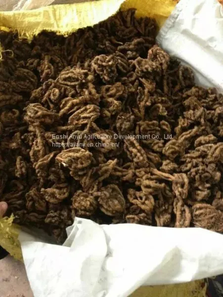 Supply Chinese Herbal Medicine Rhizoma Coptidis and Chicken Feet With Rhizoma Coptidis. photo-5