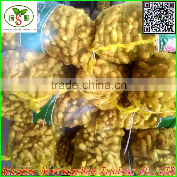 2015 Chinese Fresh Ginger & Air-dried Ginger