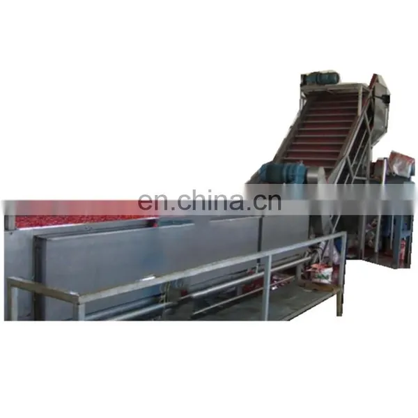 Factory Price Fresh Tomato Paste Processing Machine photo-2