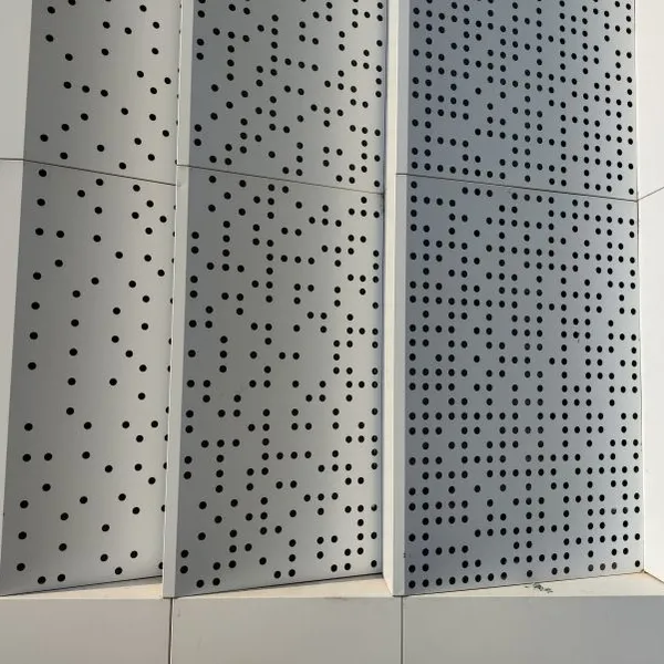 Stainless Steel Perforated Plate for Wall Decoration photo-6