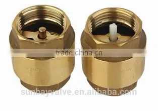 Brass Spring Check Valve With Plastic Core or Brass Core