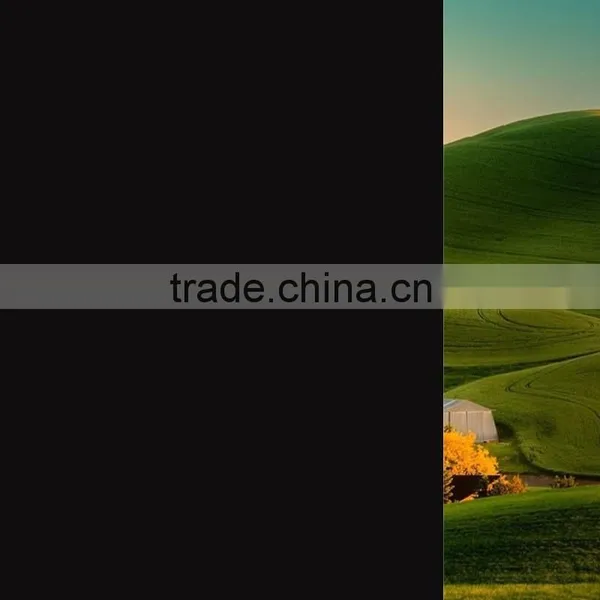 Factory Supply Hot Sale Adhesive Black Static Window Film photo-4