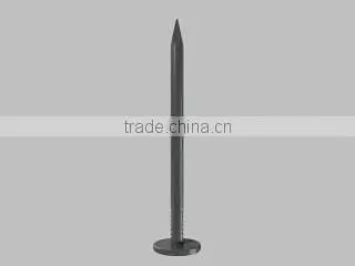 Galvanized or Polished Common Iron Nails(factory) photo-5