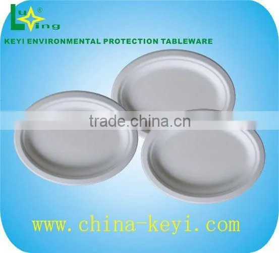 Bagasse Disposable Tableware