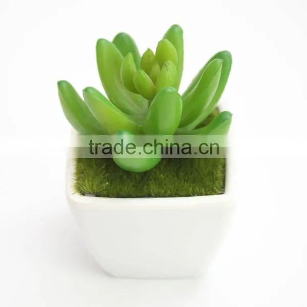 Wholesale Indoor Home Decoration Artificial Plant With Cement Flower Pot photo-6