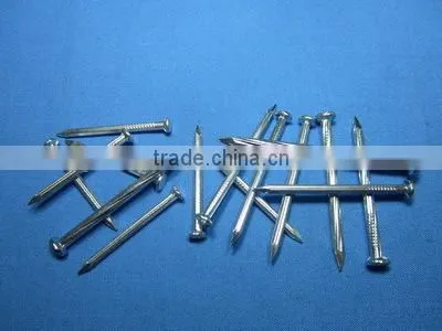 Galvanized White Zinc Concrete Nail