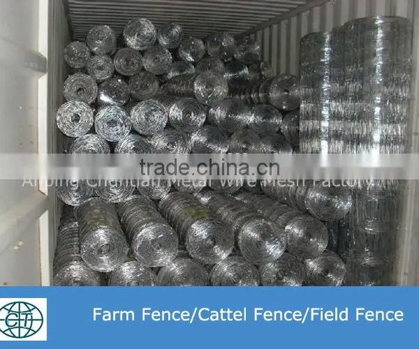Hot Galvanized Grassland Fence Hot Sale photo-3