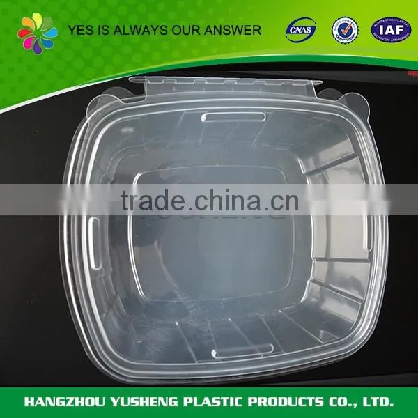 Transparent disposable pet plastic food packaging containers,food packaging containers