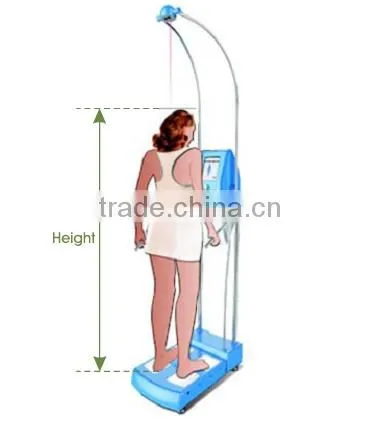 2016 Body Compostion Analyzer Factory Body Composition Scale OEM Body Composition Scale photo-3