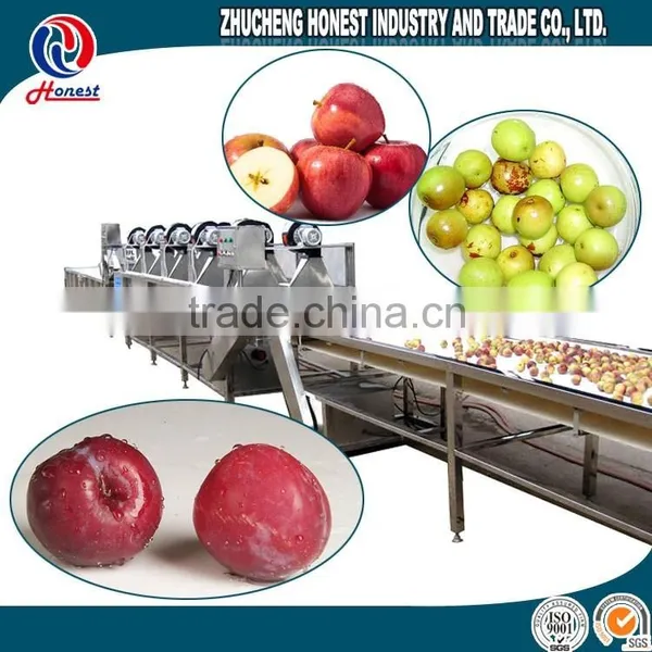 SGS Certificate Automatic Vegetable Washing Machine photo-2