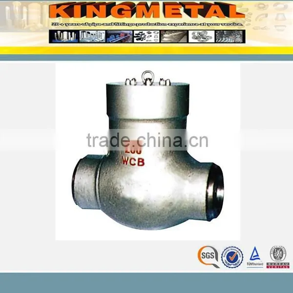 Stainless Steel Swing Check Valve for Industry photo-6