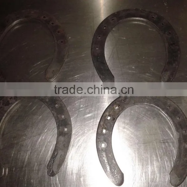 Horseshoe photo-3