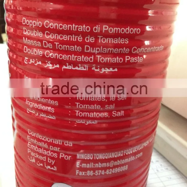 850G High Quality Manufactory China Factory Canned Tomato Paste photo-5