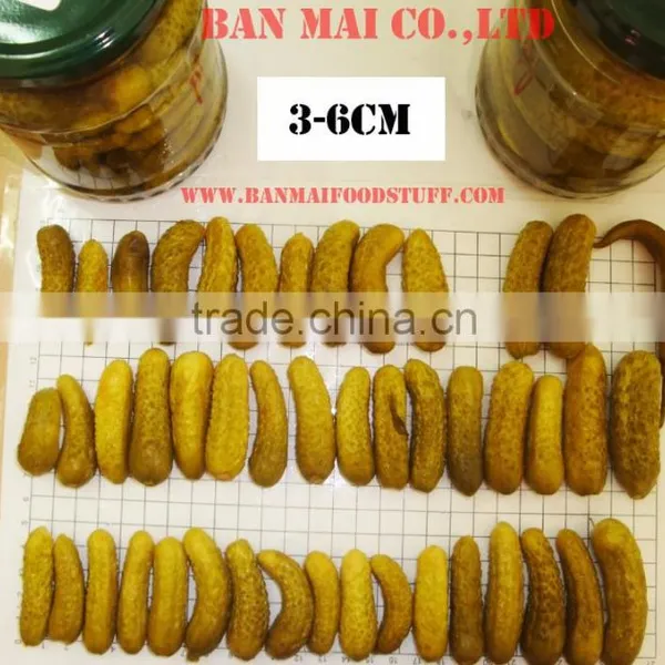 Fresh Canned Pickled Cucumber