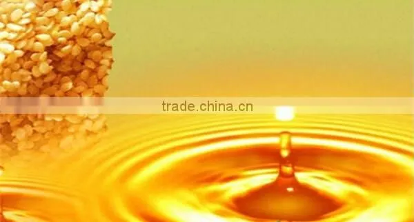 Automatic Almond Oil Press Machine photo-6