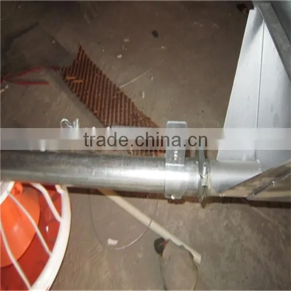 Automatic Broiler Chicken Farming Equipment photo-2