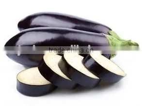 Stainless Steel Good Use Industrial Fruit Okra Cutter Chopper Slicer Vegetable Cutting Machine photo-6