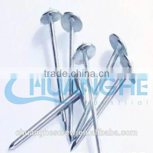 Brass Roofing Nails photo-3