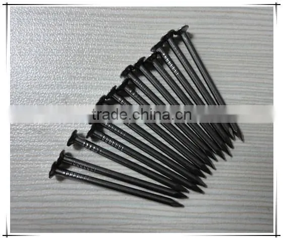 Professional Factory 5 Inch Common Iron Nail Metal Nails From China Supplier photo-4