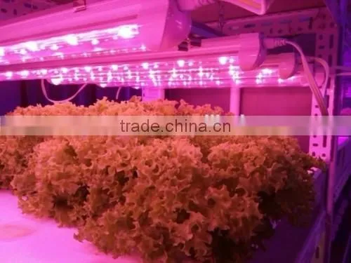 20W Led Grow Light Tube T8 Plant Grow Lamp Led photo-2