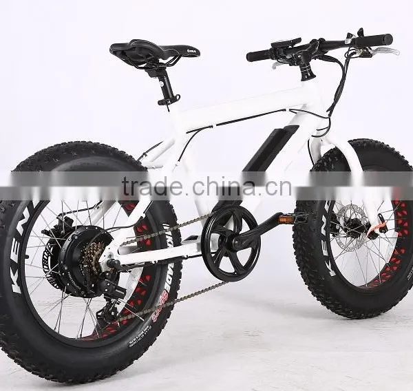 2017 New Design 20 Inch 36V 350W Non-foldable Electric Fat Bike photo-6