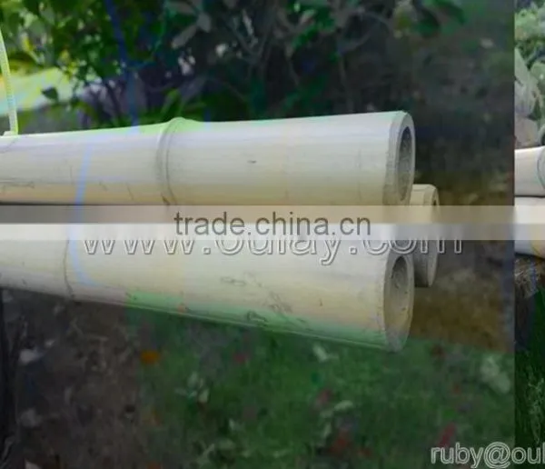 Decorative Short Bamboo Canes photo-3