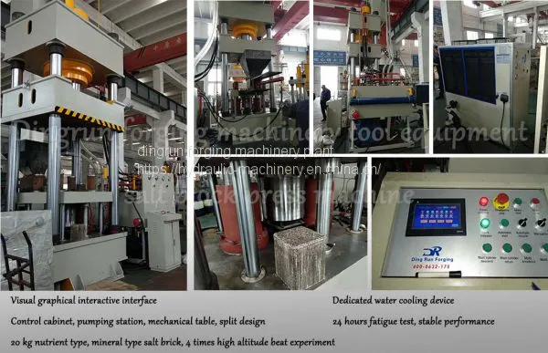800 Ton Hydraulic Press Machine Price Manufacturer for 15kg Salt Lick Block photo-3