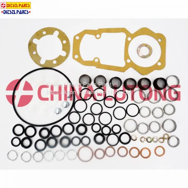 Injection Pump Repair-ve Pump Rebuild Kit 2 417 010 004/800004 for Diesel Pump photo-5