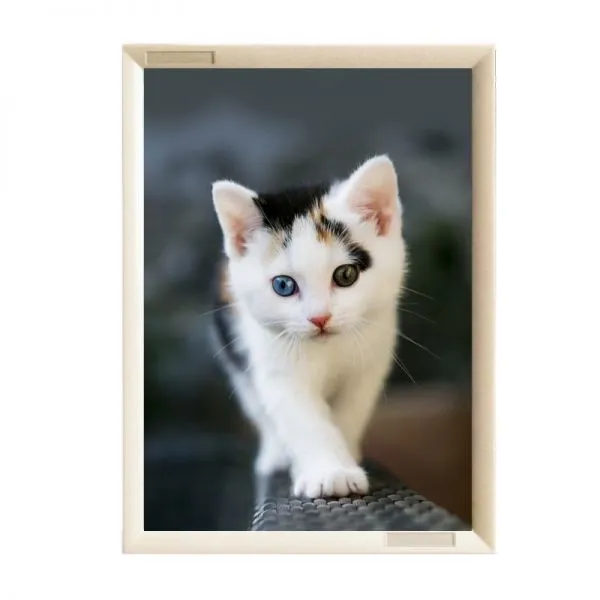 Simulation Marble Elevator Advertising Frame Poster Frame Display Frame Picture Frame Wall Mirror Frame