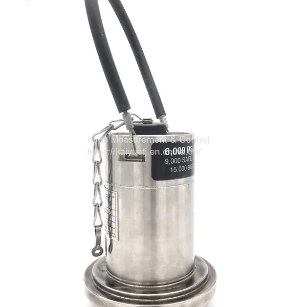 Wellhead Union Pressure Sensor photo-3