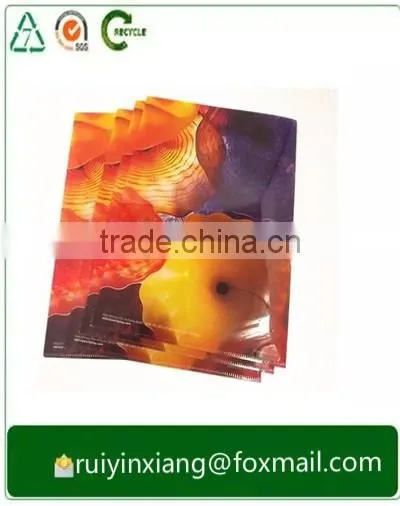 Offset Printing Printing Type and Plastic Product Material a4 File Folder Supplier's Choice photo-2