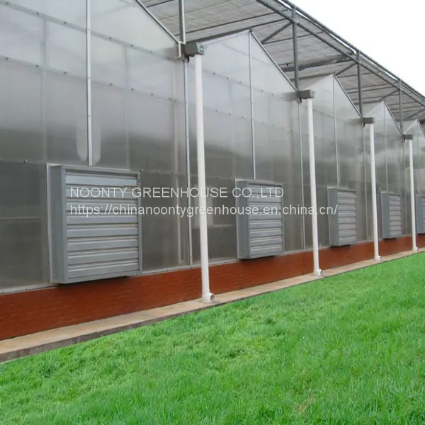 Economical Commercial Polycarbonate Sheet Greenhouse