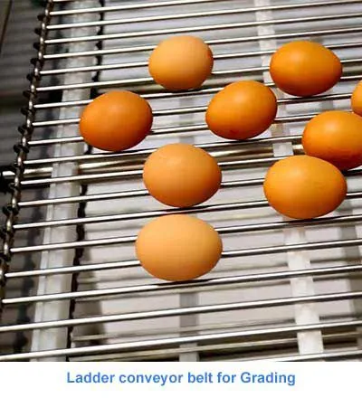 Ladder Conveyor Belts photo-2
