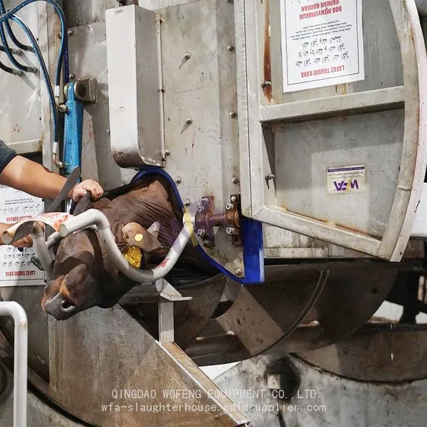 Full Set Automatic Cattle Slaughter Line For Ritual Rotary Slaughtering Box For Cow Slaughtering Equipment photo-2