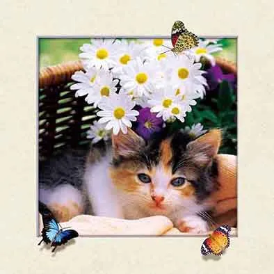 High Quality 3d Art Picture With Pet Lenticular 40x40 With Moving photo-2